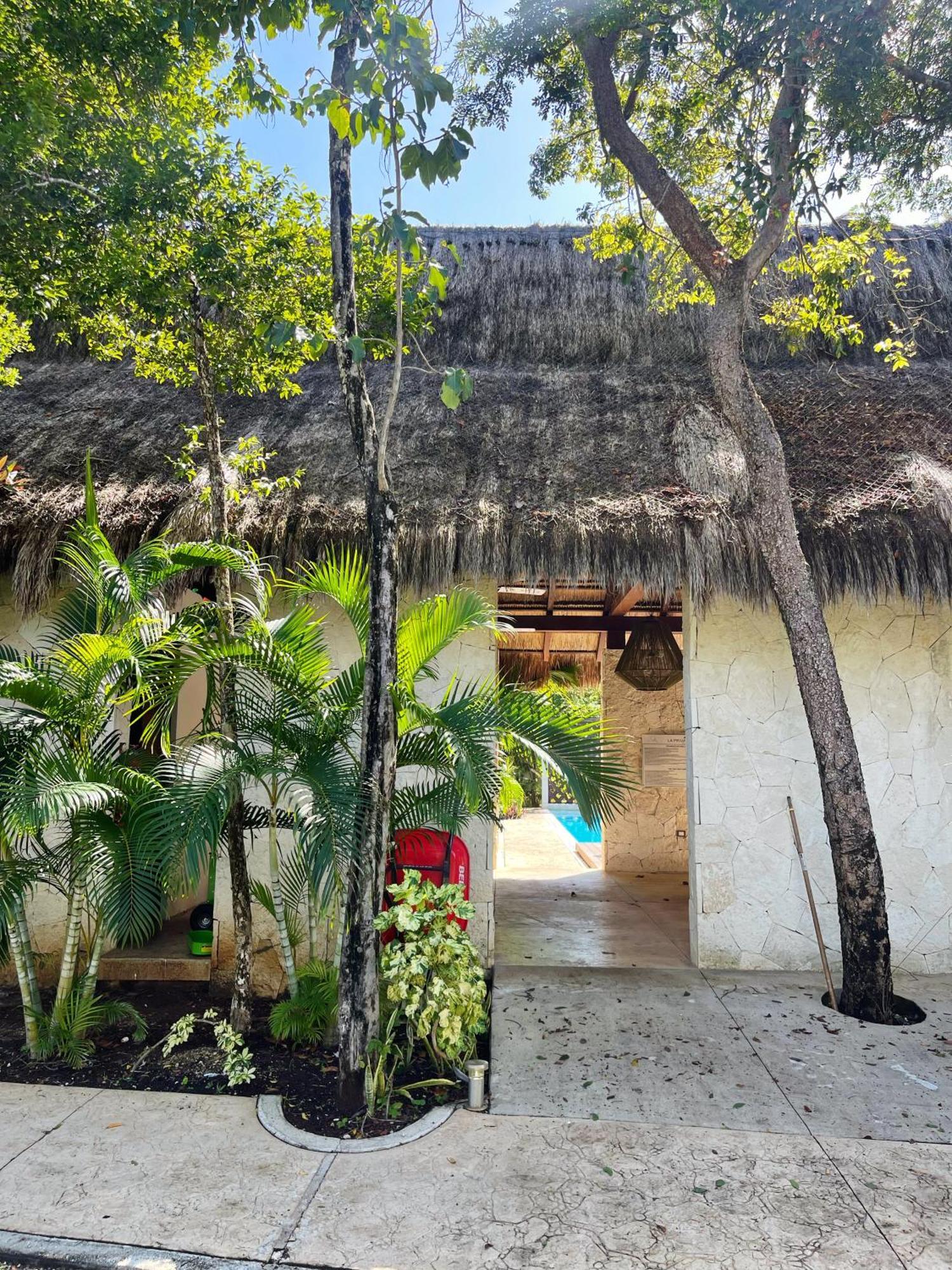 Villa Tikal トゥルム エクステリア 写真